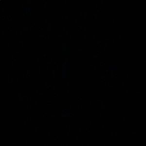 Meet your Posher, Zoe